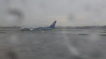 DCIM0492.JPG