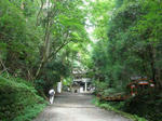 P8250047.jpg
