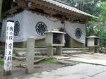 P8250054.jpg