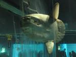 SN3J0069.jpg