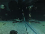 SN3J0078.jpg