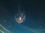 SN3J0081.jpg