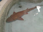 SN3J0090.jpg