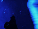 ab039c2a.JPG