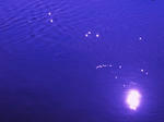 0294643f.JPG