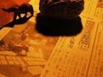 d90d2fc1.JPG