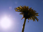 6585d825.JPG