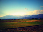 a5459f87.jpg