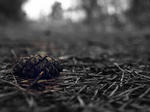 a9608d84.jpg