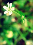 b0494ee5.jpg