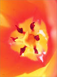 f6591f30.jpg