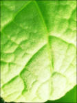 90c49028.jpg