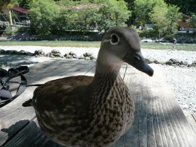 kamikochi02.jpg