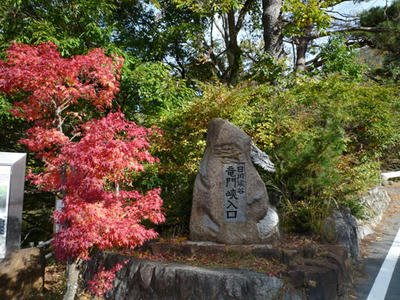 hikawa01.jpg