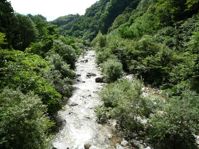 20090808_02.jpg