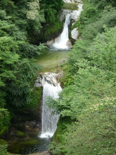 20090808_05.jpg