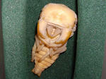 75E08No11a.JPG