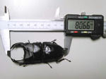 09.25.001.JPG