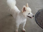 DSCF3057.JPG