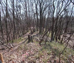 DSCF0039.JPG