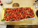 DSCF06070.jpg