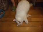 DSCF0779.JPG