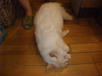 DSCF0780.JPG