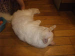 DSCF0781.JPG