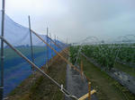 090806_104049.JPG