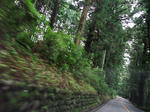 DSCF0962.JPG