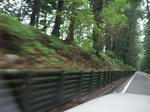 DSCF0975.JPG