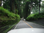 DSCF0980.JPG