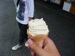 DSCF1101.JPG