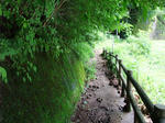 DSCF1203.JPG