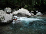 DSCF1319.JPG