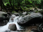 DSCF1329.JPG