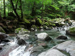 DSCF1332.JPG