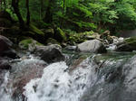 DSCF1334.JPG