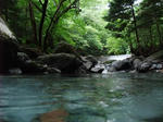 DSCF1376.JPG
