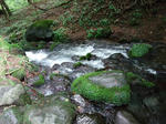 DSCF1307.JPG