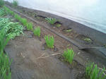 DCF_0006.JPG