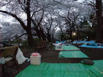 DSCF11191.jpg