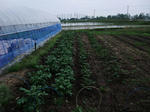DSCF1217.JPG