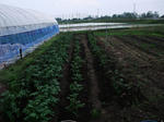 DSCF1218.JPG