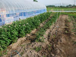 DSCF1256.JPG
