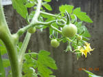 DSCN1465.JPG