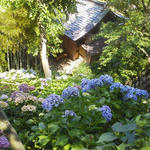 2013070213230000.jpg