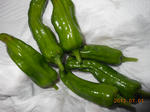 DSCN1469.JPG