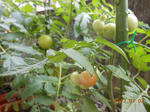 DSCN1474.JPG
