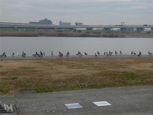 P1070101.JPG